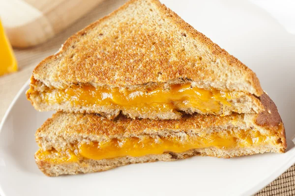 Traditional Homemade Grilled Cheese Sandwich — Stock Photo, Image