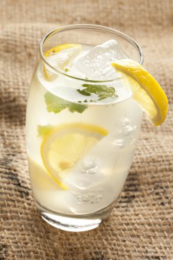 nane yaprakları ile organik taze limonata