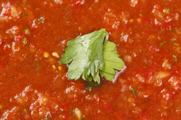 Färska hemgjorda kalla gazpacho soppa — Stockfoto