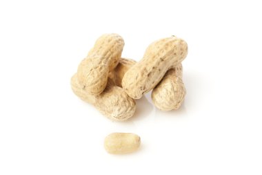 taze kuru organik fıstık