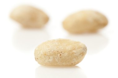 taze kuru organik fıstık