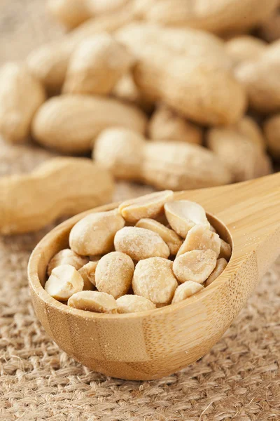 Čerstvé suché organické arašídy — Stock fotografie