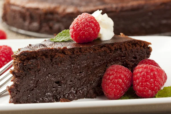 Homemade Chocolate Cake — Stock Photo, Image