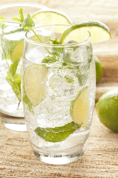 Čerstvě vyrobené mojito — Stock fotografie