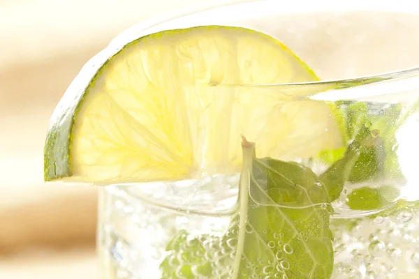 Freshly Made Mojito — Stock Photo, Image