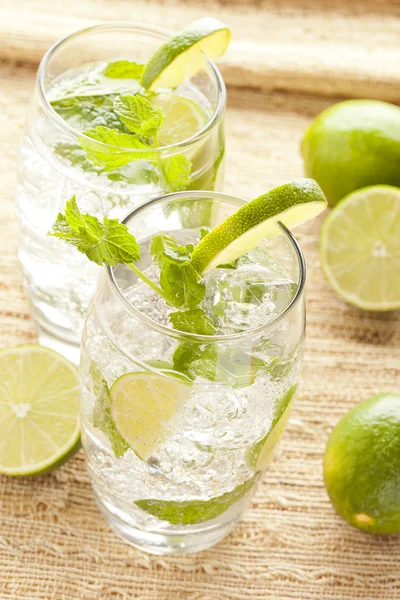 Čerstvě vyrobené mojito — Stock fotografie