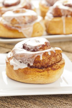 taze ev yapımı rulo tarçın