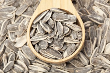 Organik Közlenmiş ayçiçeği tohumu