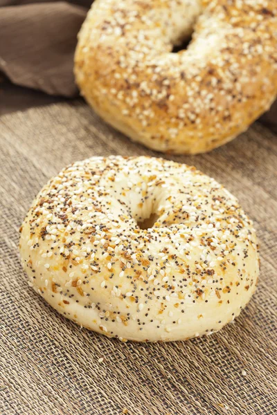 Bagel de grão inteiro fresco caseiro — Fotografia de Stock