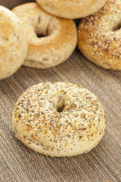 Bagel de grão inteiro fresco caseiro — Fotografia de Stock