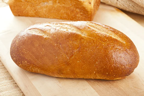 Verse organische zuurdesem brood — Stockfoto