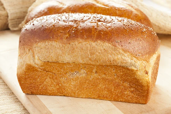 Verse biologische volkoren brood — Stockfoto
