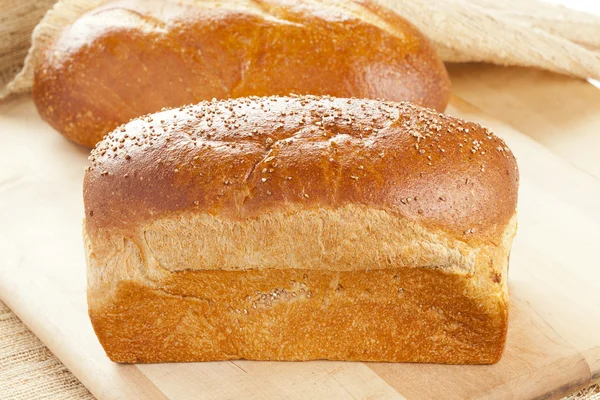 Verse biologische volkoren brood — Stockfoto