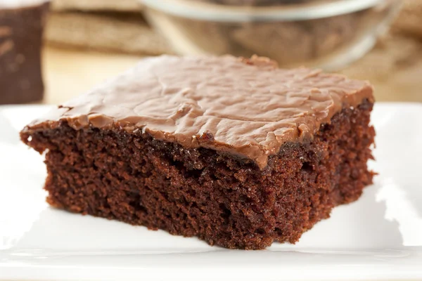 Brownie casero fresco — Foto de Stock