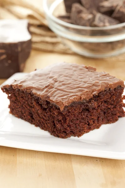 Fresh Homemade Brownie — Stock Photo, Image