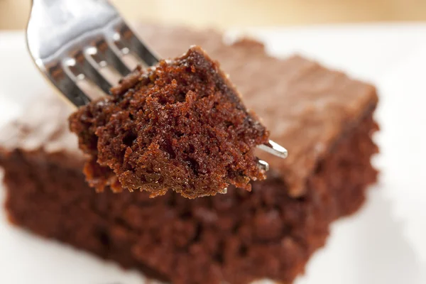 Fresh Homemade Brownie — Stock Photo, Image