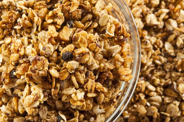 Organische muesli granen — Stockfoto