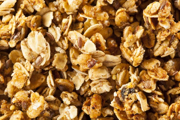 Organische muesli granen — Stockfoto