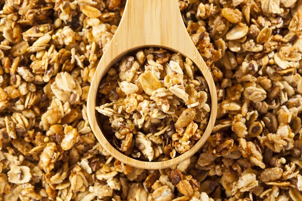 Organické granola obilovin — Stock fotografie