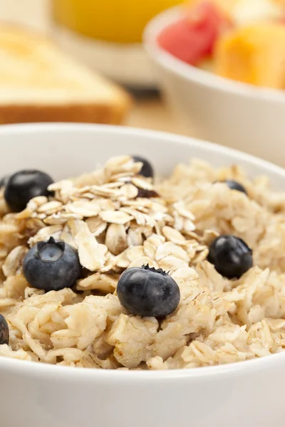 Harina de avena orgánica cocida con arándanos —  Fotos de Stock