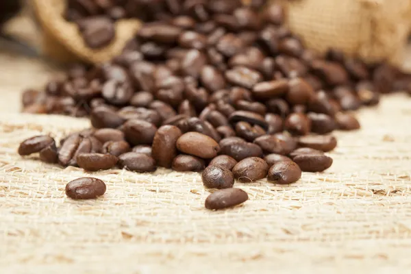 검은 유기농 커피 콩 — 스톡 사진