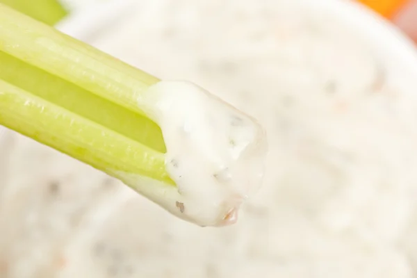 Organic Crunchy Celery and ranch dip — Stock Photo, Image