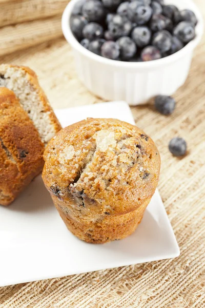 Čerstvé domácí Borůvkový muffin — Stock fotografie