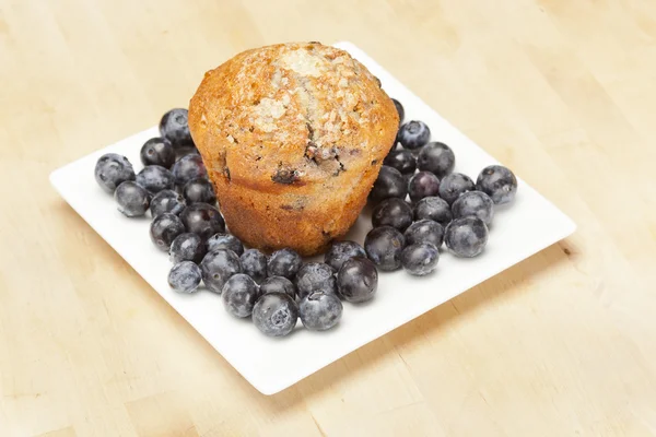 Muffin di mirtilli fatti in casa fresco — Foto Stock