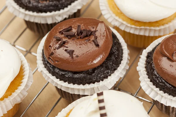 Coklat dan Vanilla Cupcake beku — Stok Foto