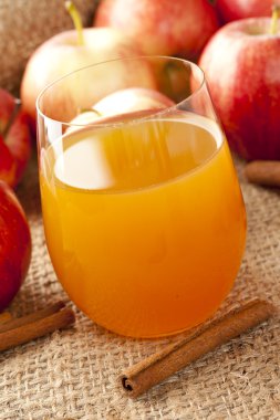 taze organik elma suyu