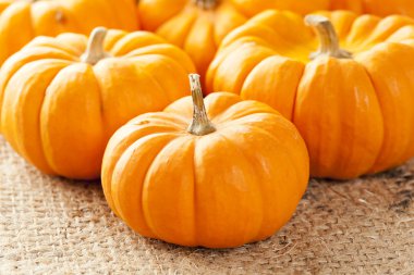 taze portakal organik kabak