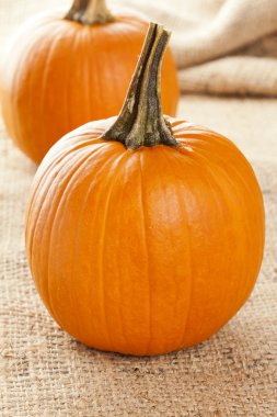 taze portakal organik kabak