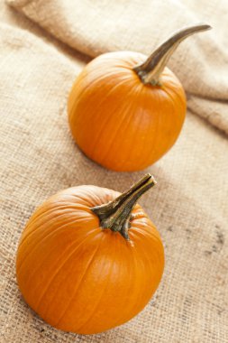 taze portakal organik kabak