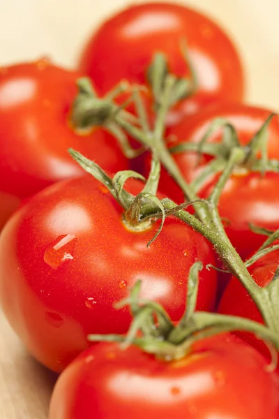 verse ogranic rijpe tomaat