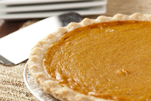 Torta di zucca fresca fatta in casa — Foto Stock