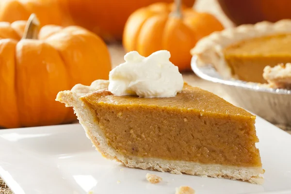 Torta di zucca fresca fatta in casa — Foto Stock