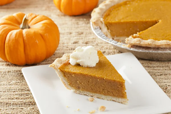 Torta di zucca fresca fatta in casa — Foto Stock