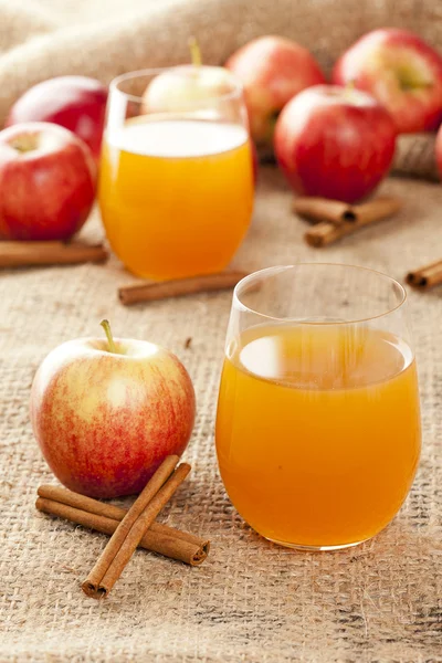 Verse organische appel cider — Stockfoto