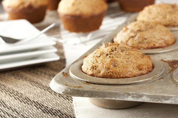 Fresh Homemade Bran Muffins — Stock Photo, Image