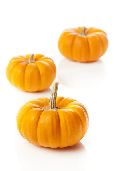 Fresh Orange Organic Pumpkin — Stock Photo, Image