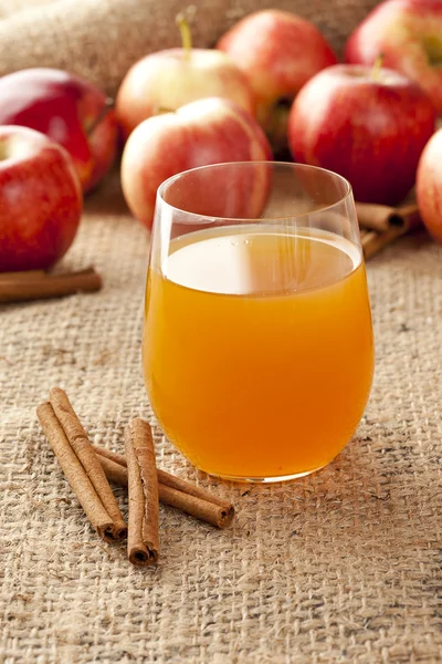 Fresh Organic Apple Cider — Stock Photo, Image