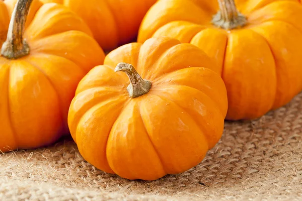 Calabaza ecológica de naranja fresca —  Fotos de Stock