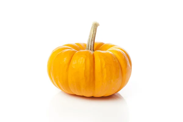 Fresh Orange Organic Pumpkin — Stock Photo, Image