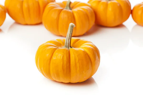 Fresh Orange Organic Pumpkin — Stock Photo, Image