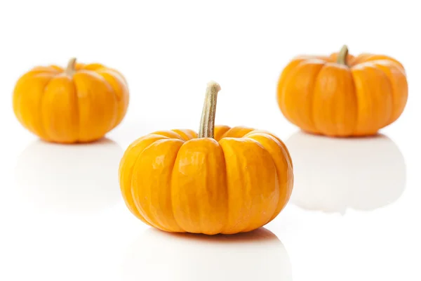 Fresh Orange Organic Pumpkin — Stock Photo, Image