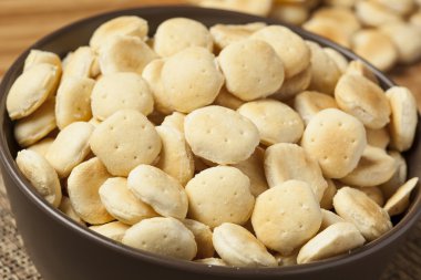 Organik gevrek istiridye krakerler