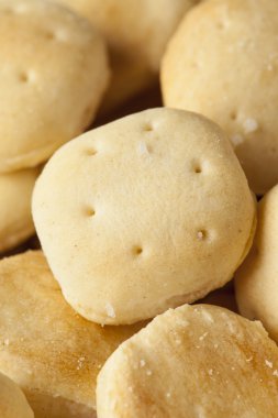 Organik gevrek istiridye krakerler