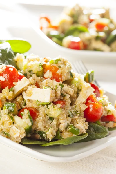 Organické veganské quinoa se zeleninou — Stock fotografie