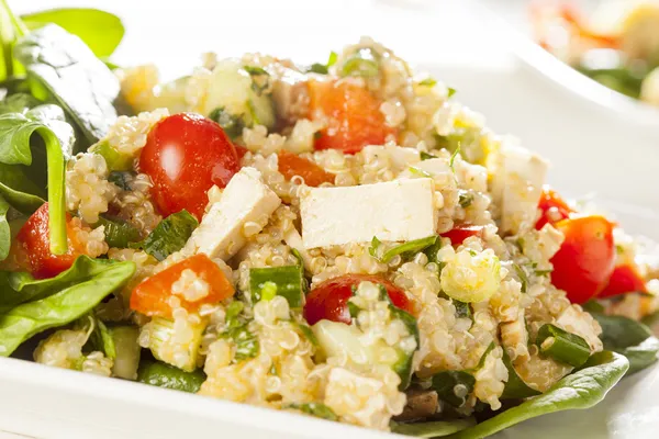 Vegan Quinoa Organik dengan sayuran — Stok Foto