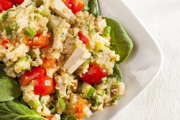 Sebze ile organik vegan quinoa — Stok fotoğraf